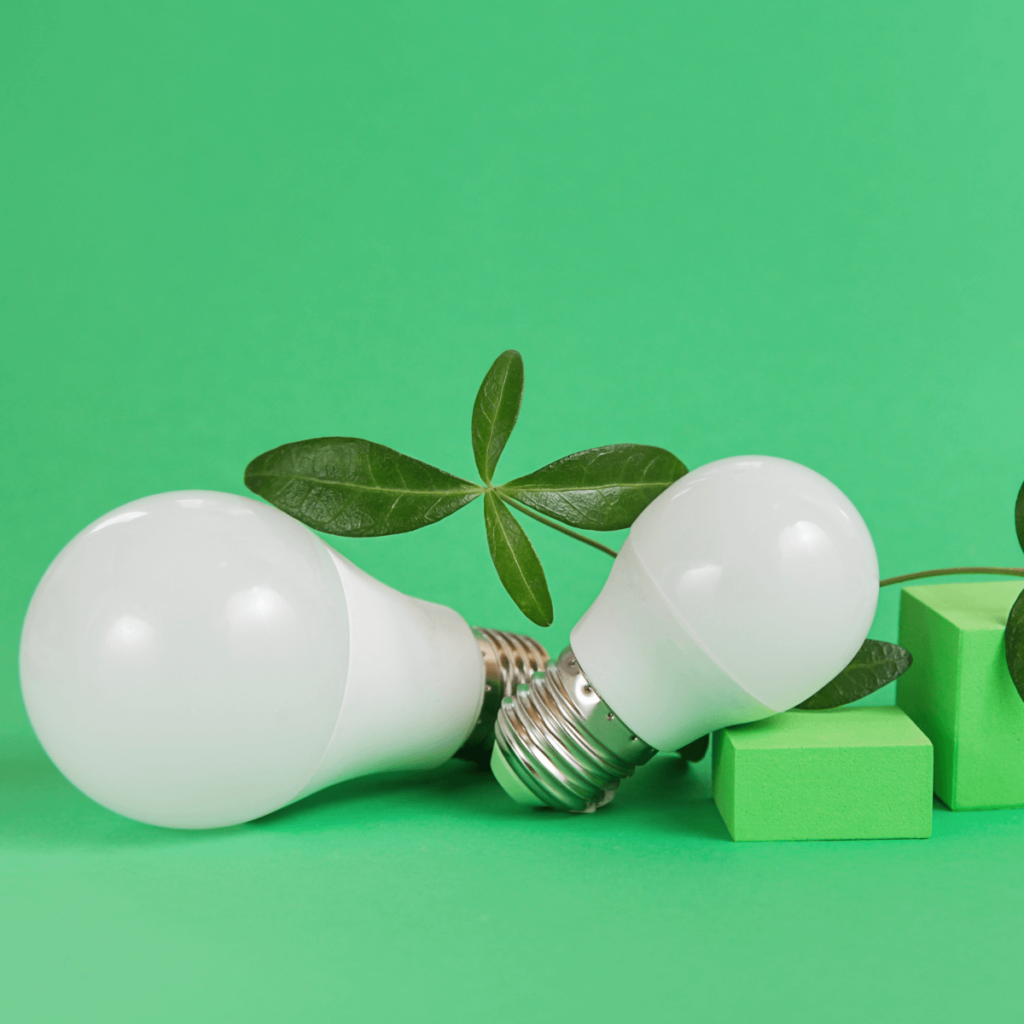 Two light bulbs on a green background with a plant leaf