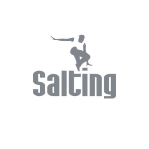 salting logo ds as